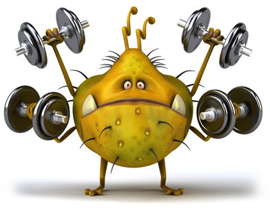 Gérmenes en el gimnasio y cómo evitarlos