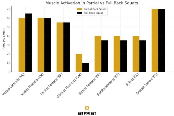 squat rom activación muscular